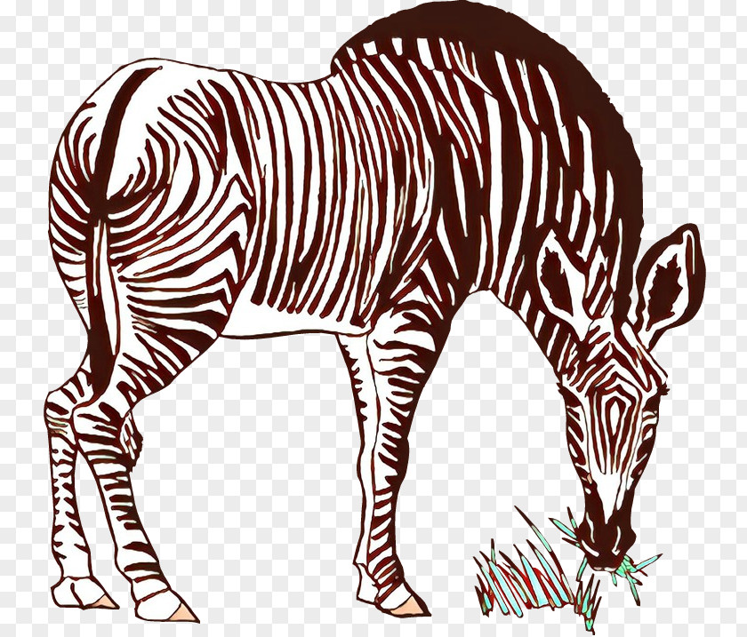 Cat Quagga Mammal Terrestrial Animal Zebra PNG