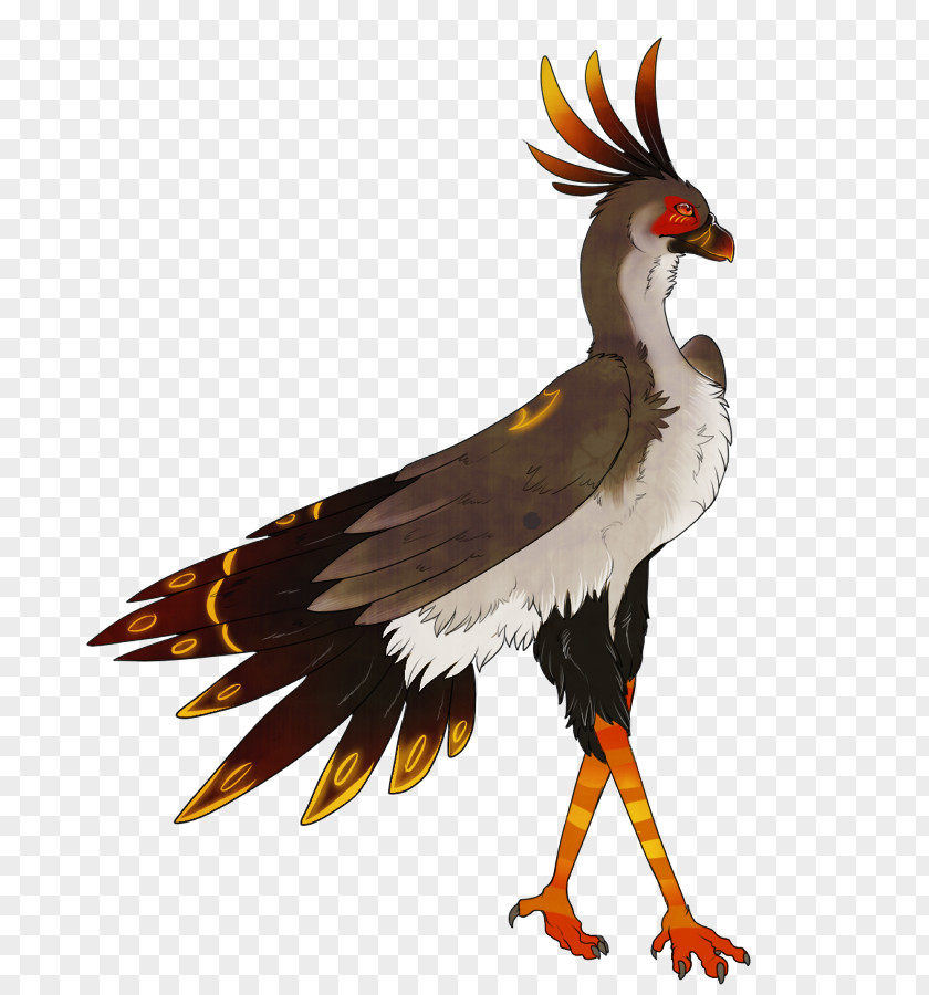 Secretary Pictures Secretarybird Clip Art PNG