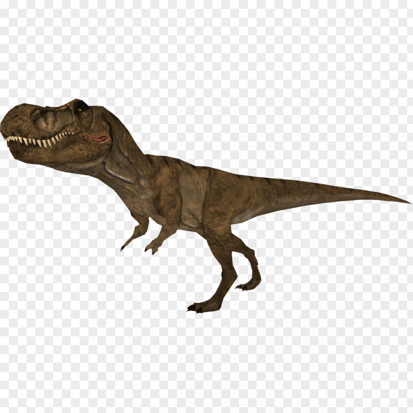 T Rex Zoo Tycoon 2 Tyrannosaurus Tycoon: Dinosaur Digs Allosaurus Velociraptor PNG