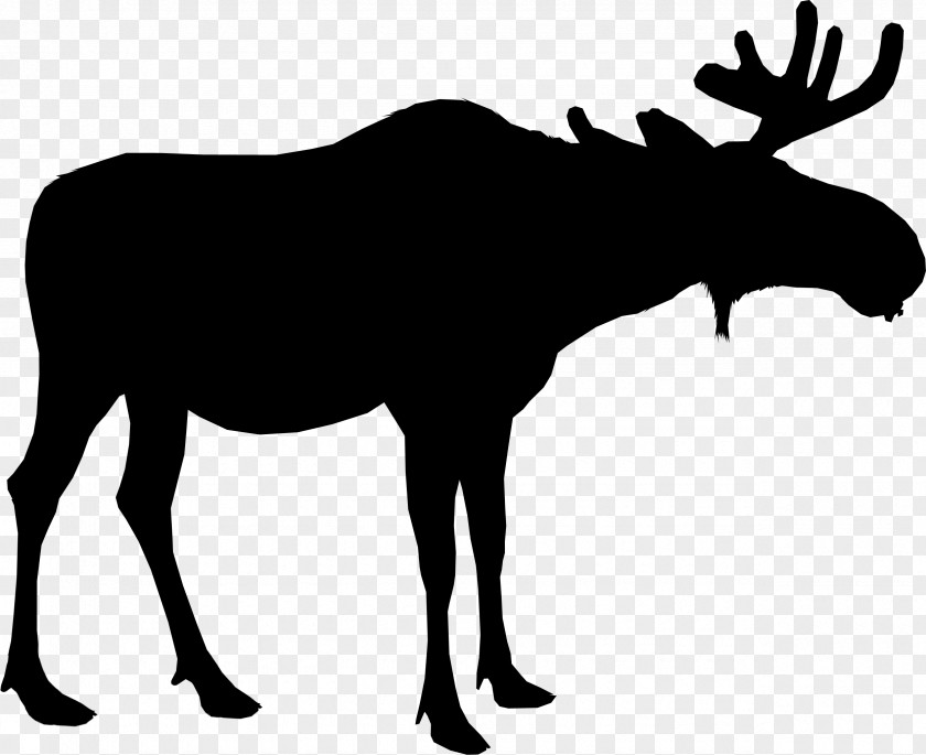 Moose Silhouette Deer Vector Graphics PNG