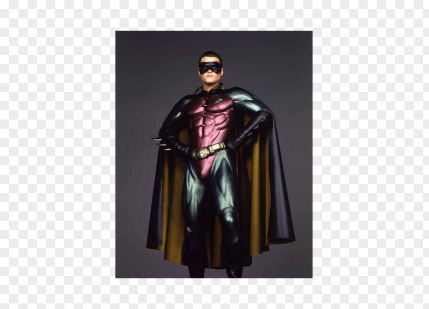 Robin Dick Grayson Batman Batgirl Batwoman PNG