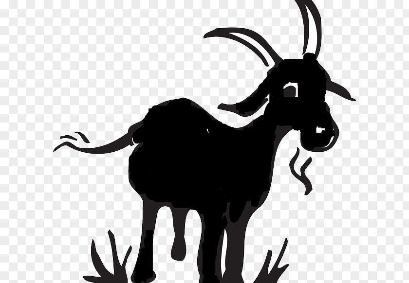 Sheep Black Bengal Goat Boer Kinder Clip Art PNG