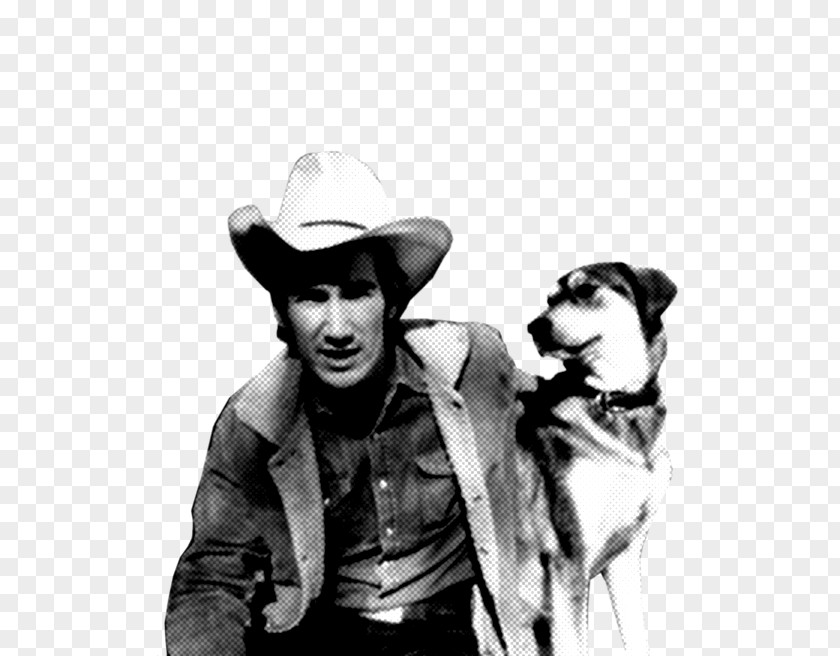 Townes Van Zandt Heartworn Highways Singer-songwriter Outlaw Country Music PNG country Music, Willie Nelson clipart PNG