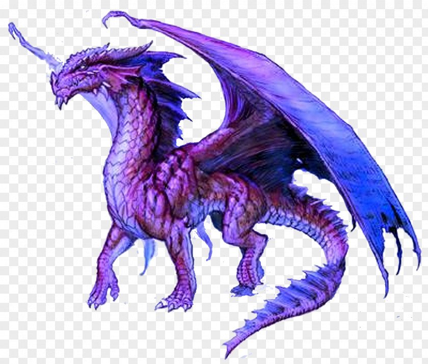 Dragon 10 Purple Icon PNG
