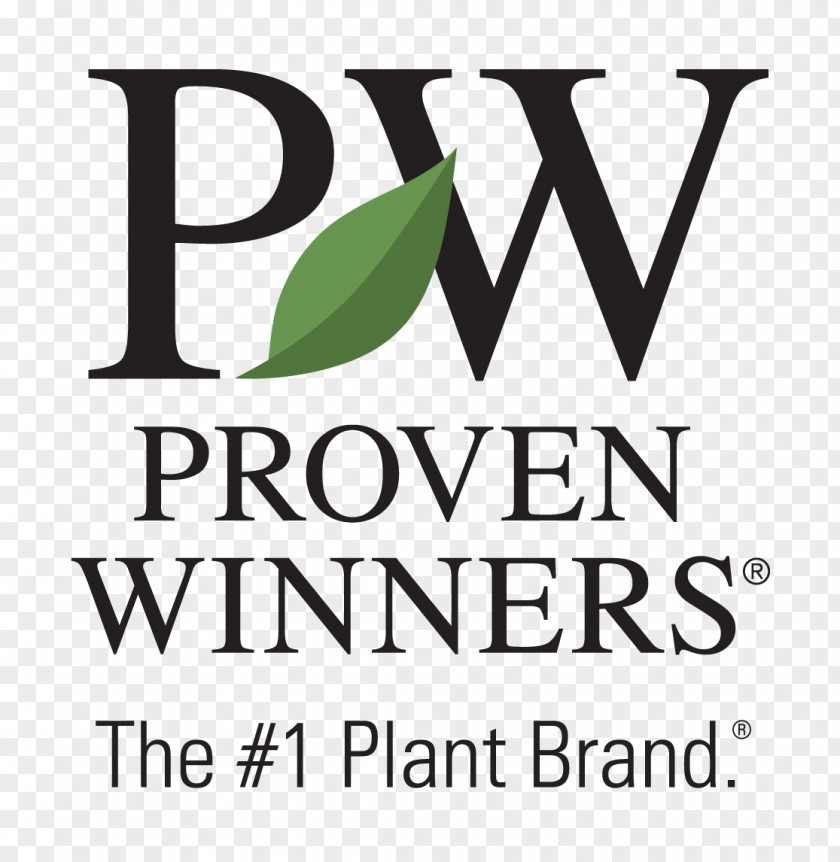 Dream Garden Annuals & Perennials Proven Winners Perennial Plant PNG