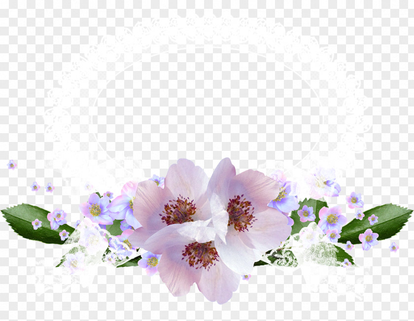 Flowers,Frame Flower Wreath Picture Frames PNG