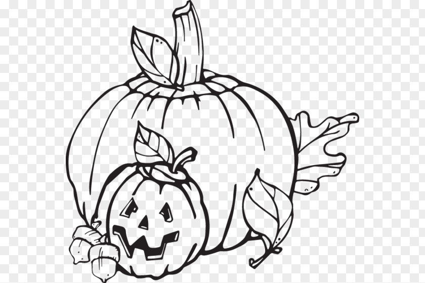 Fruit Plant Pumpkin PNG