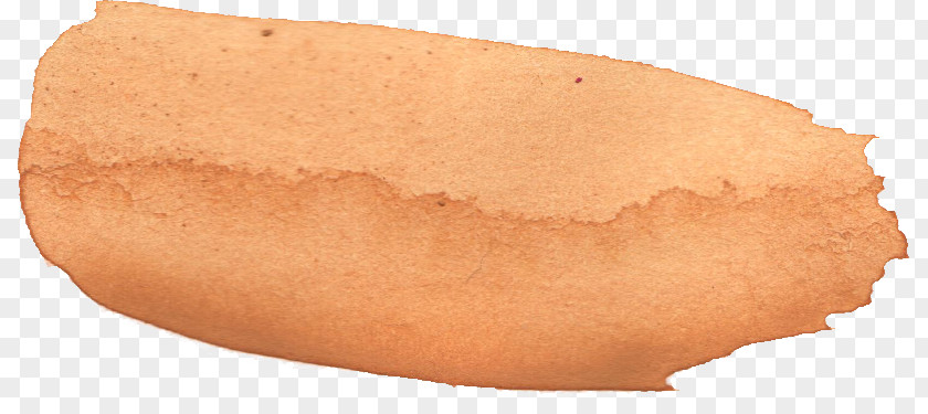 Hot Dog Bockwurst Bun Bologna Sausage PNG