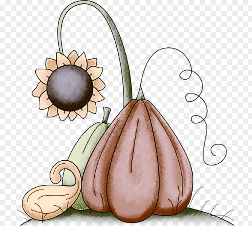 Plant Flower PNG