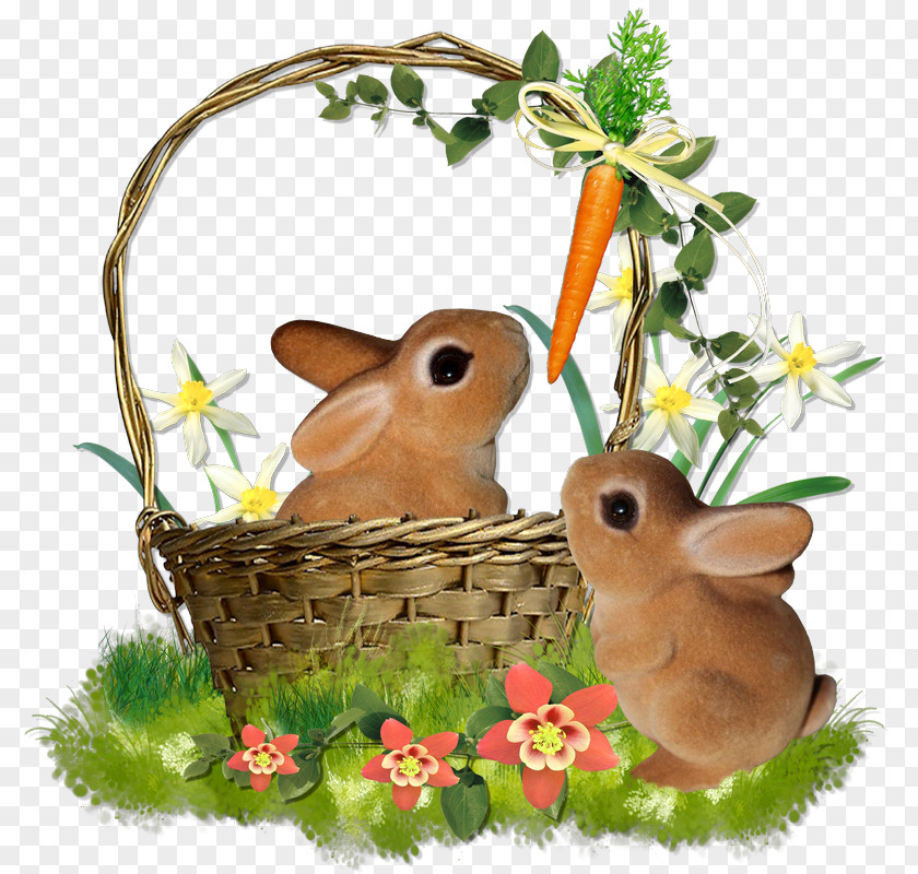 Blog Easter Bunny Hare Domestic Rabbit PNG