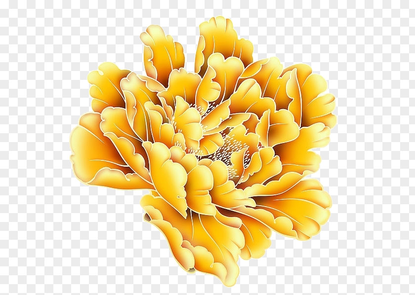 Blooming Yellow Peony Flowers Moutan PNG