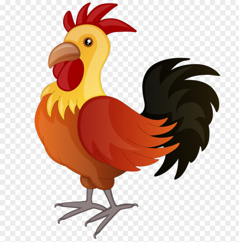 Cock American Game Old English Fowl Rooster Kifaranga PNG