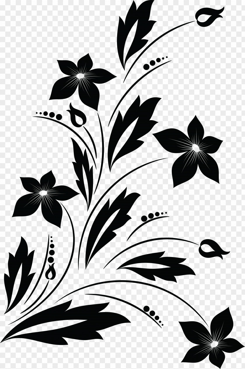 Oriental Flower Drawing Black And White Clip Art PNG