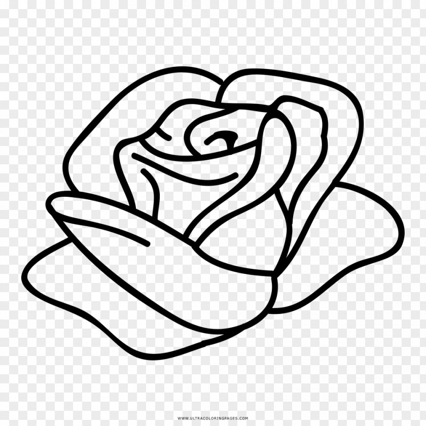 Rose Paper Template Coloring Book Flower PNG