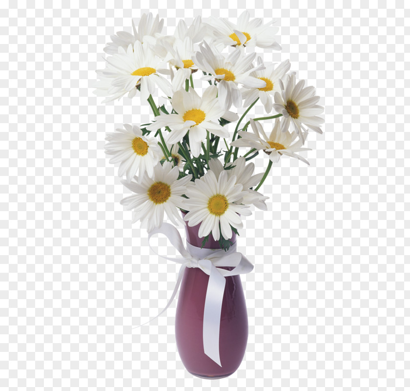Chamomile Flower Common Daisy Painting God PNG