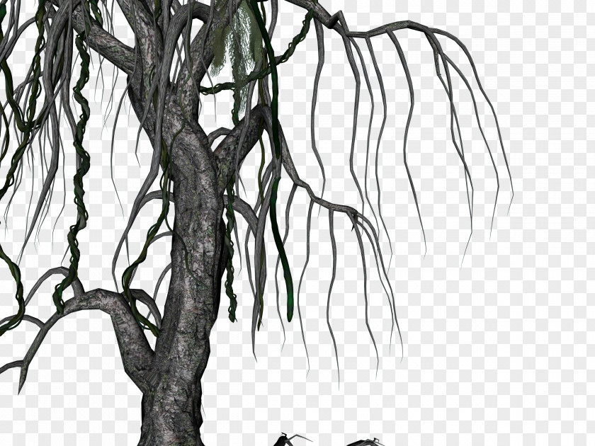 Compression Twig Drawing Root Stock Illustration Tree PNG