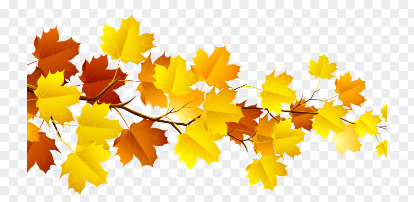Fall Season Autumn Leaf Color Clip Art PNG