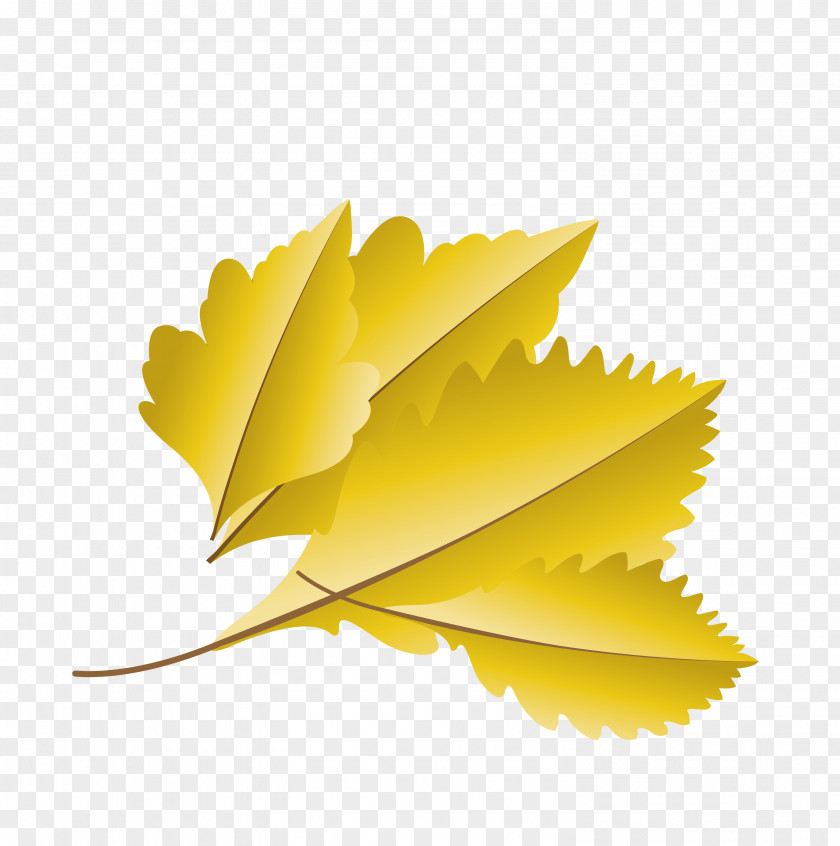 Leaf Yellow Biology Plants Science PNG