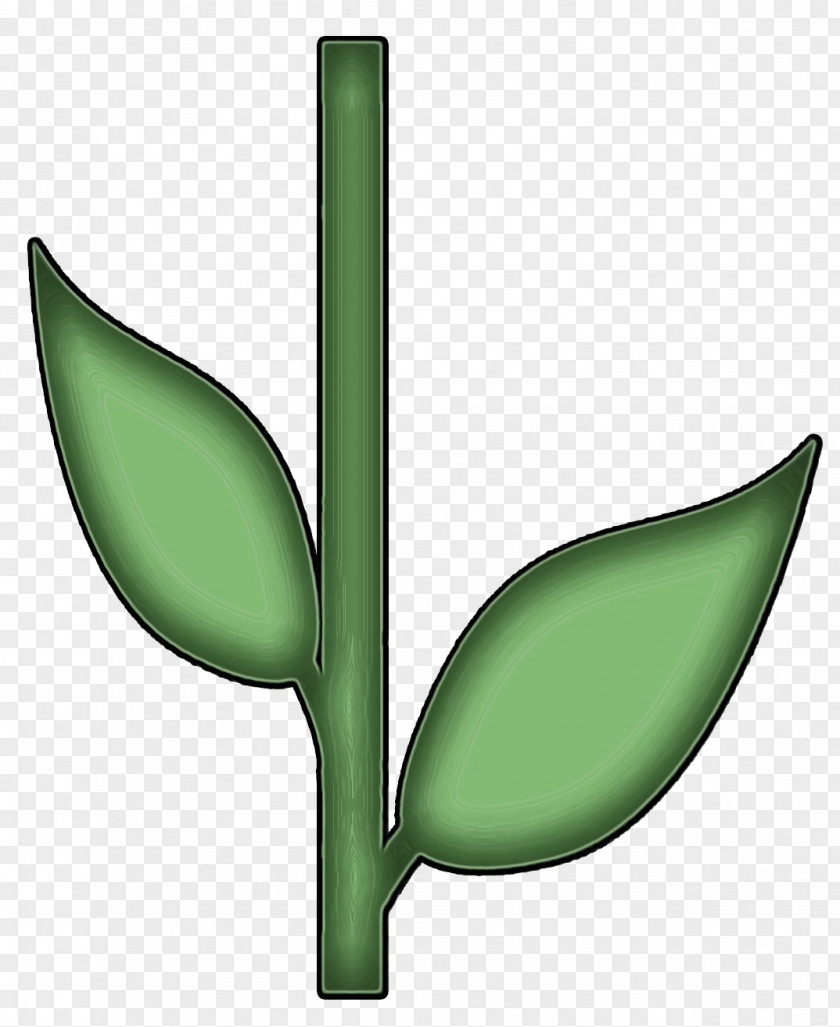 Logo Botany Watercolor Flower Background PNG