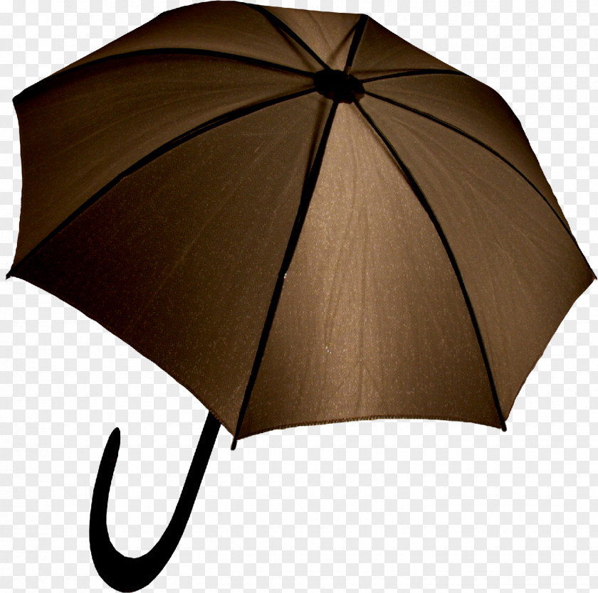 Umbrella Albom Clip Art PNG