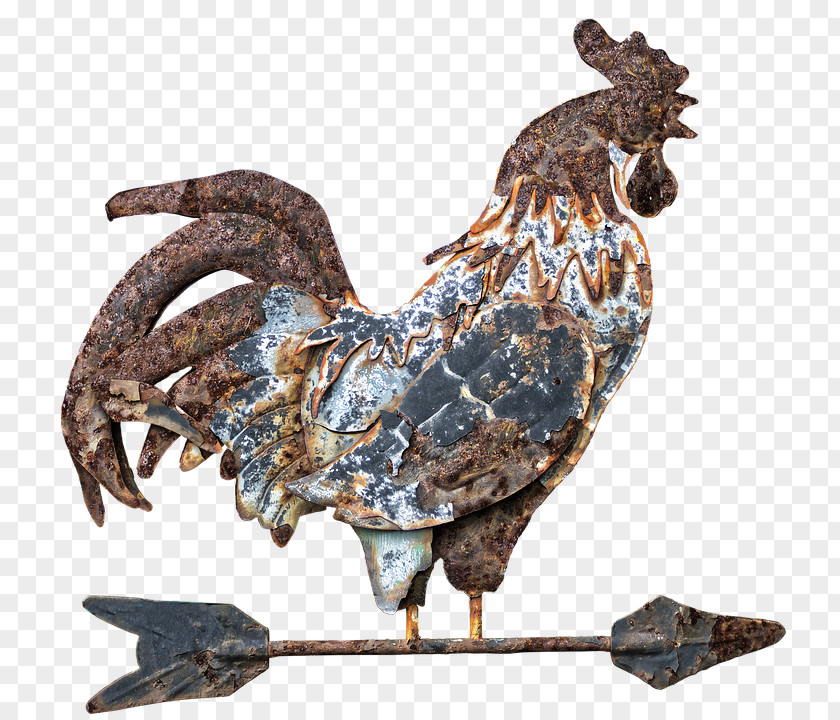 Wind Weather Vane Direction Trails Rooster PNG