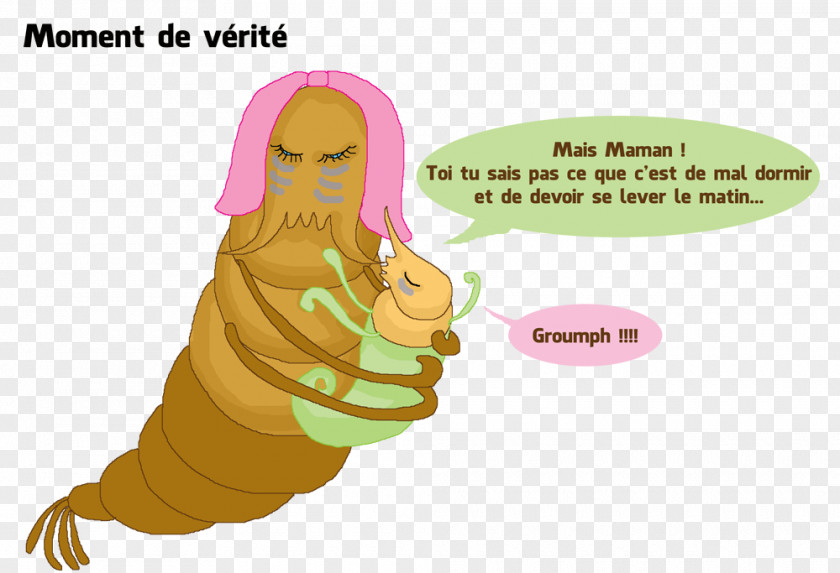 Crevette Shrimp Animal Organism PNG