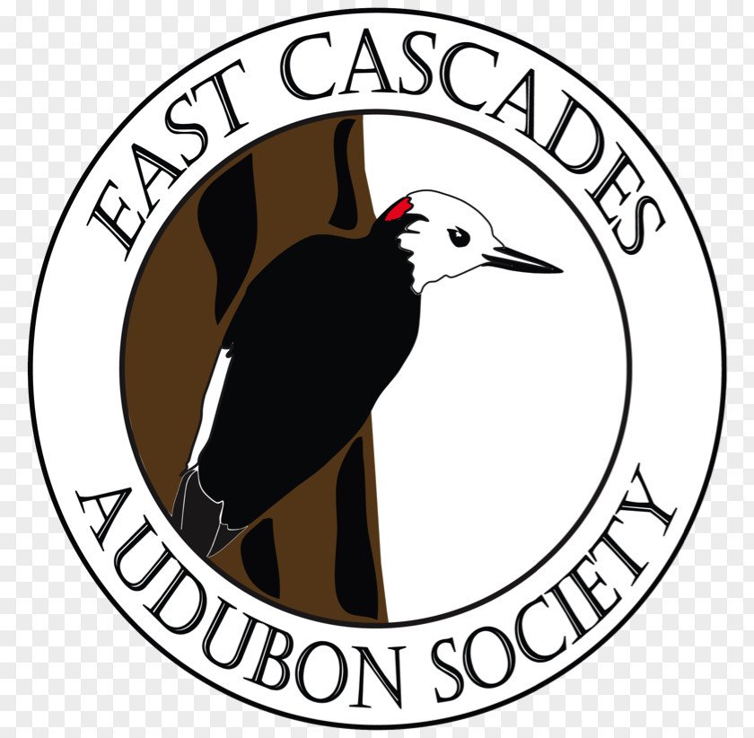 East Jordan National Audubon Society Association Of Letter Carriers Ligonier Organization Bird PNG