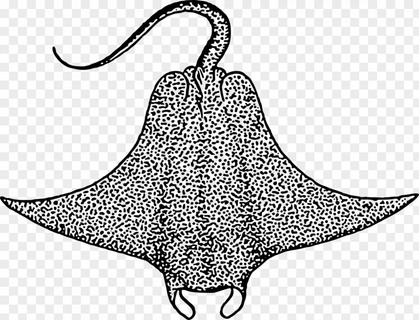 Fish Devil Batoidea Clip Art PNG