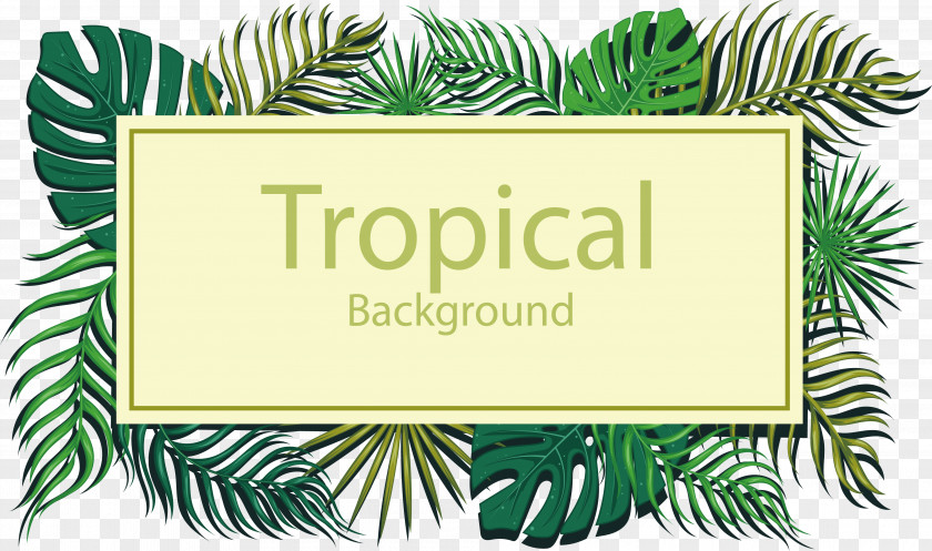 Green Tropical Leaf Title Box Tropics Euclidean Vector PNG