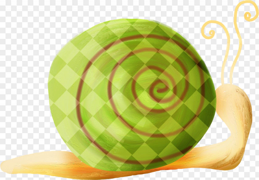 Hand-painted Snail Orthogastropoda Icon PNG