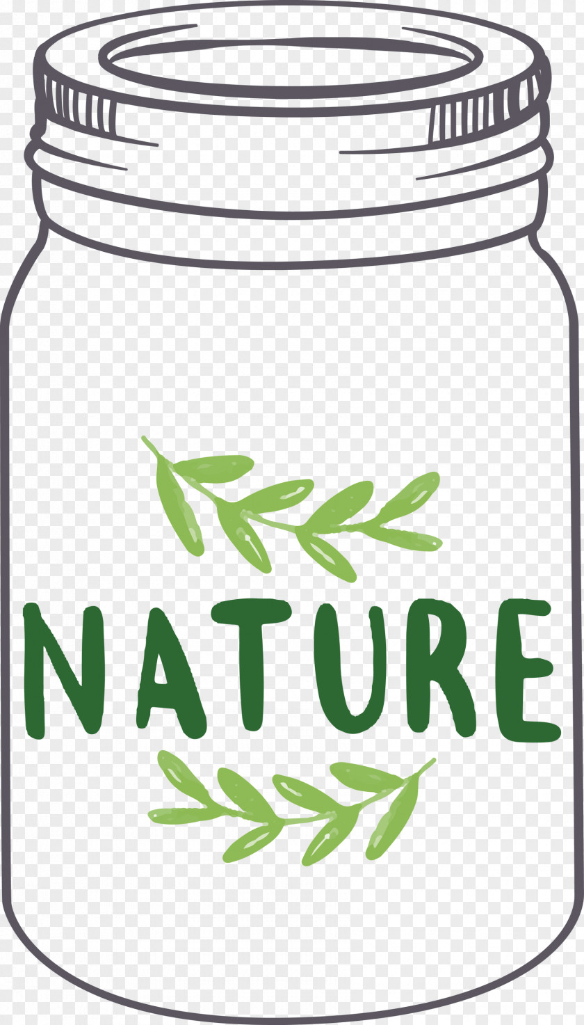 MASON JAR PNG