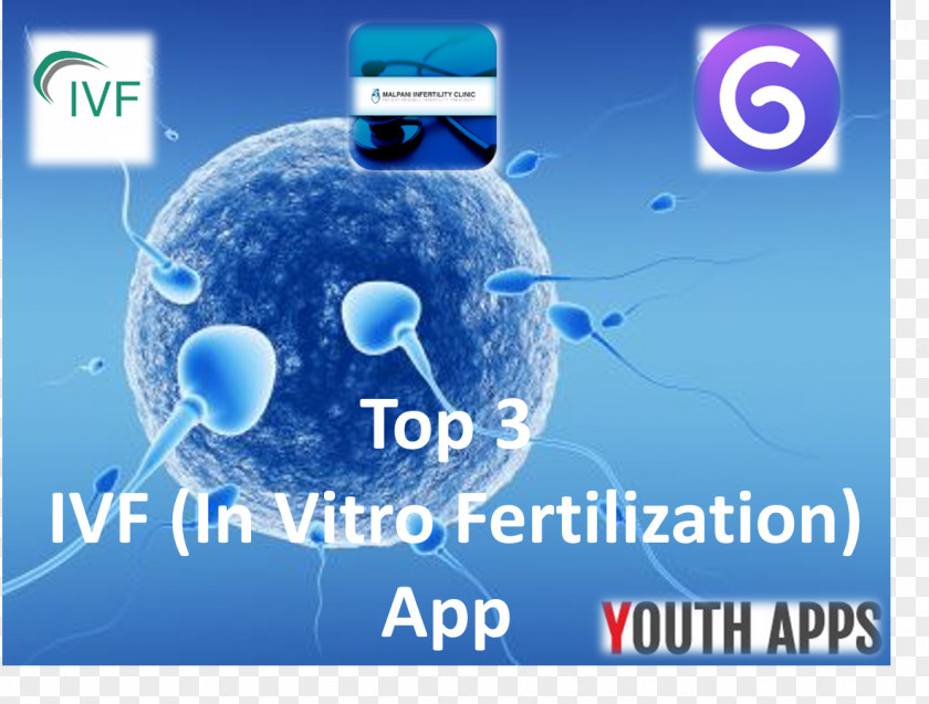 Semen Analysis Spermatozoon In Vitro Fertilisation PNG