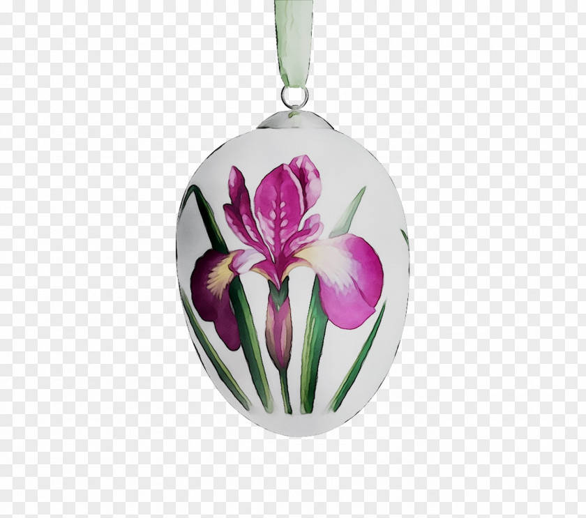 Tulip Cut Flowers Purple Christmas Ornament Day PNG