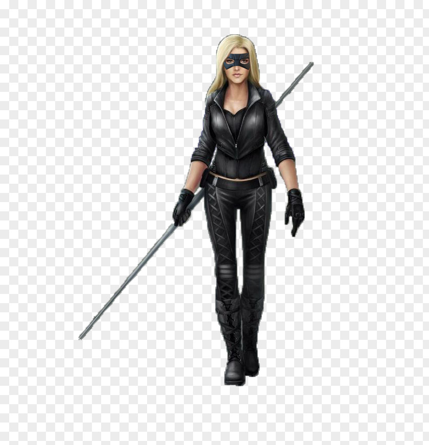 Batman Black Canary Hot Toys Limited Action & Toy Figures Model Figure PNG