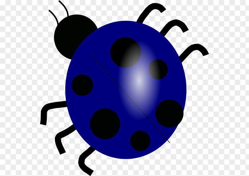 Blue Bug Cliparts Beetle Ladybird Clip Art PNG