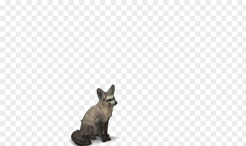Cat Dog Breed Fauna Snout PNG