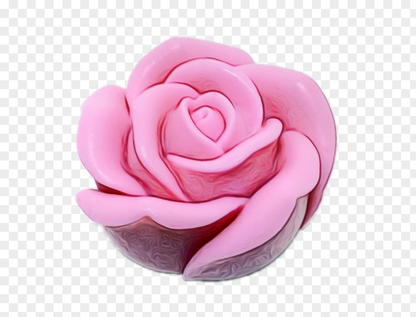 Japanese Camellia Pink Flower Cartoon PNG