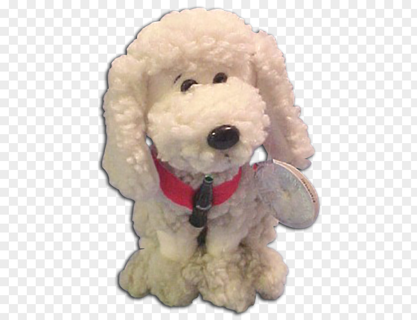 Puppy Standard Poodle Toy Miniature Cockapoo PNG