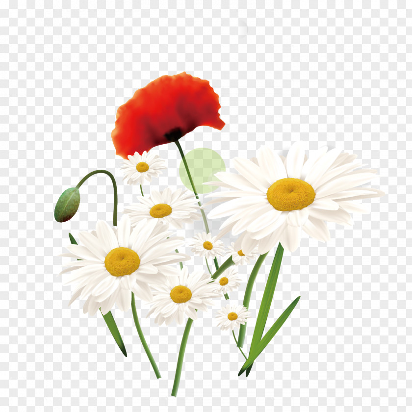 Vector Hand Painted White Floral Decoration Cartoon Flower Drawing PNG