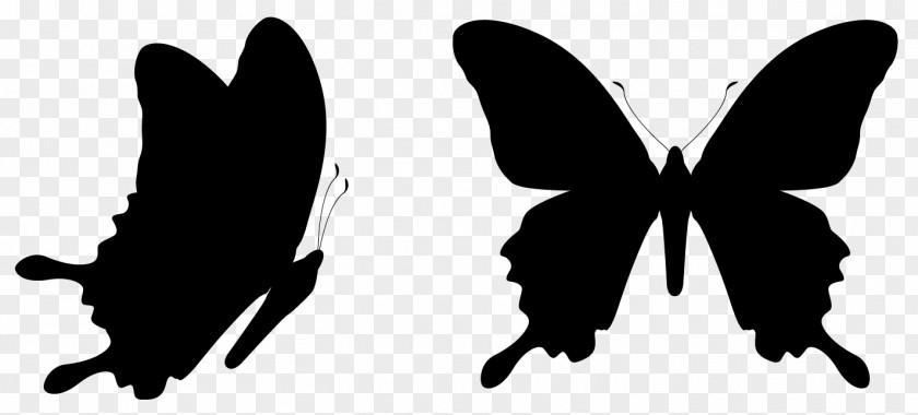 Butterfly Vector Graphics Clip Art Royalty-free Illustration PNG