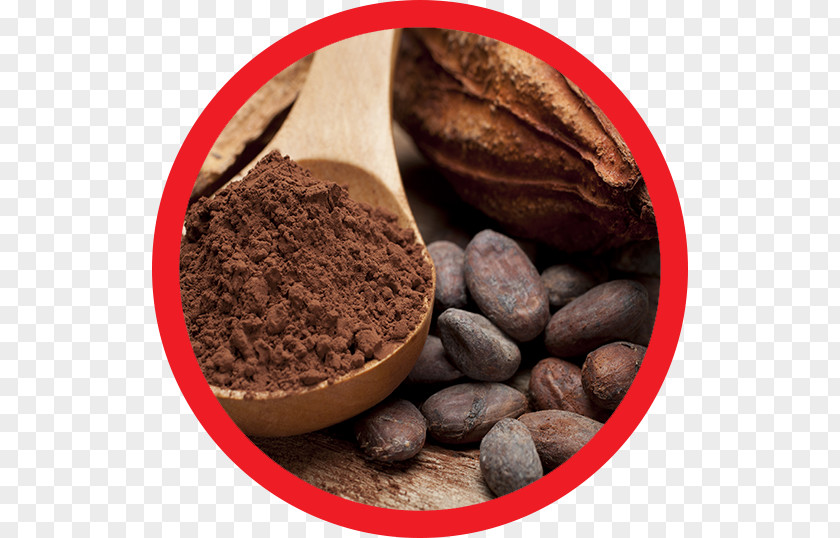 Cocoa Beans Bean Chocolate Bar Solids Theobroma Cacao PNG