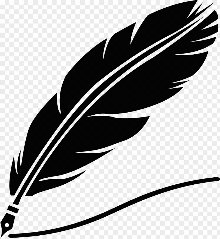 Feather Paper Quill Pens PNG