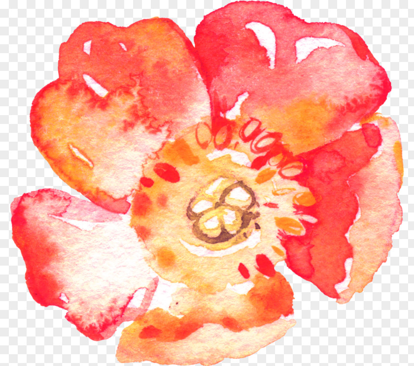 Watercolor Flowers Acid-free Paper Bible Printing Ink PNG