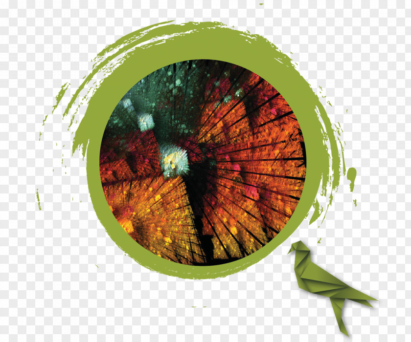 Agency Creative NEET · 2018 Leaf Biology PNG