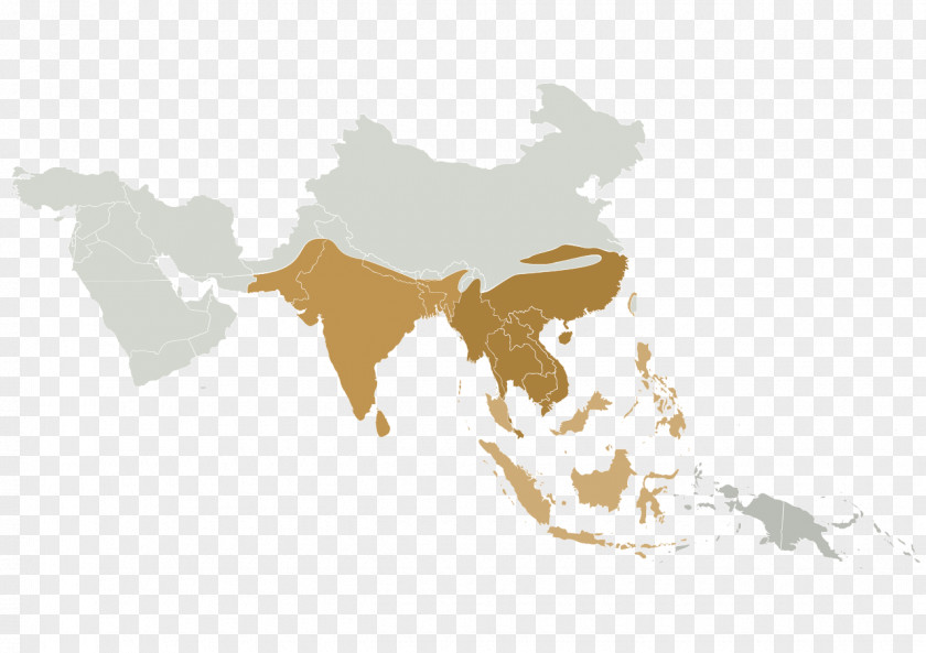 Asia Blank Map Globe Cartography PNG