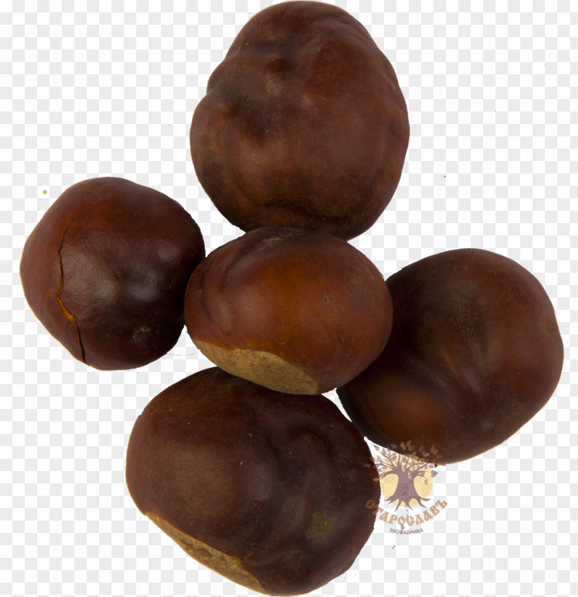 Chestnut European Horse-chestnut Hazelnut Praline PNG
