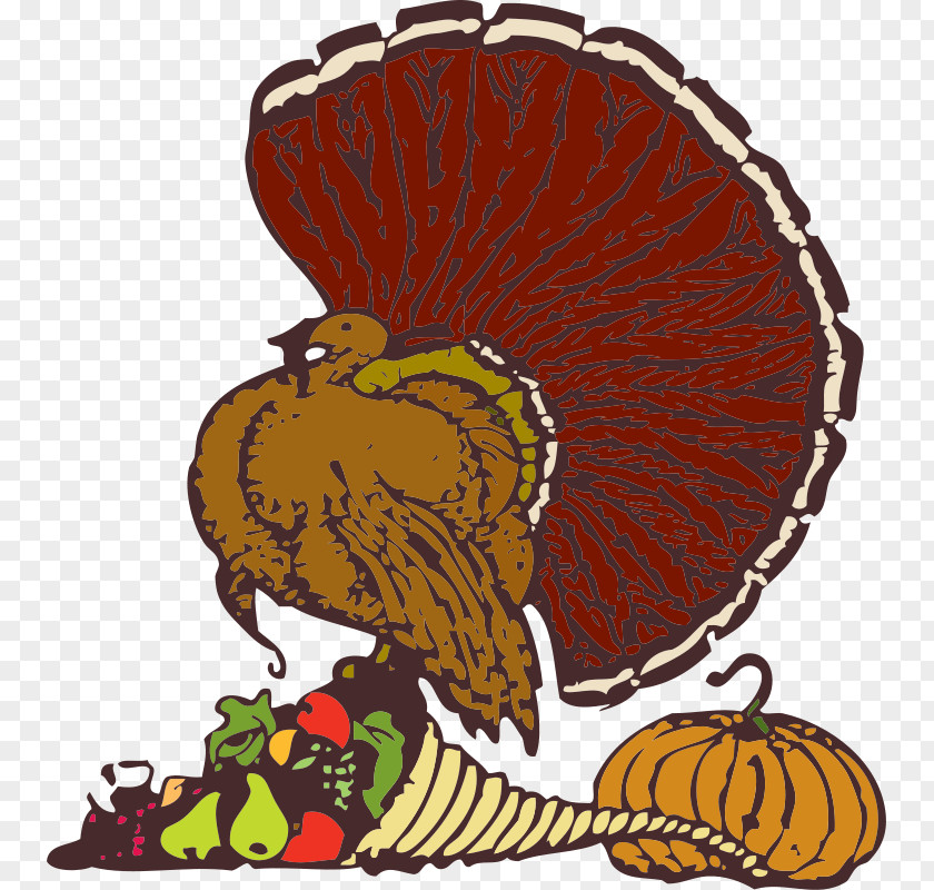 Dead Turkey Clipart Thanksgiving Florida's Kitchen Meat Pixabay Christmas PNG