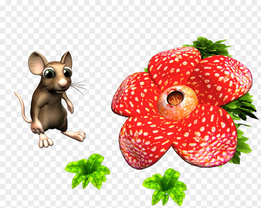 Flower G Farmerama Bigpoint Games Campos Computer Mouse .de PNG