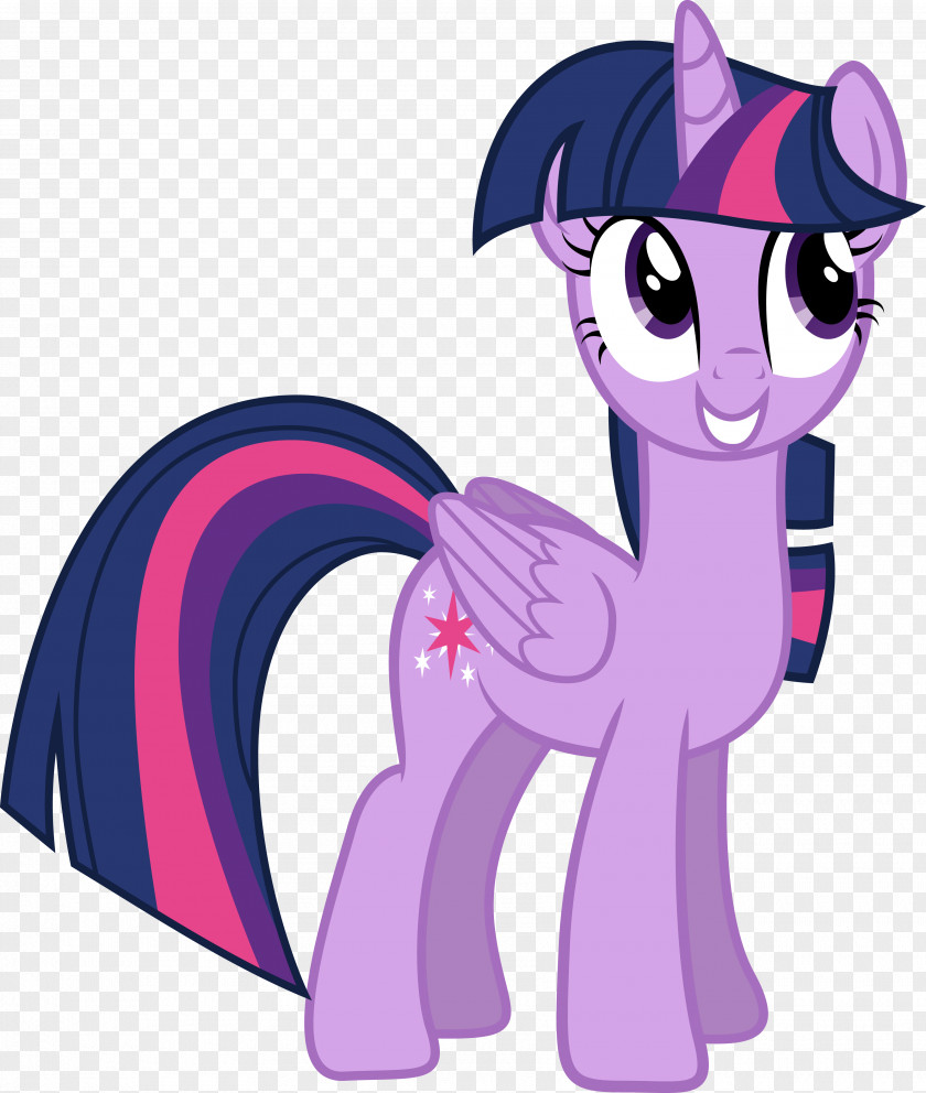 My Little Pony Twilight Sparkle Rarity Rainbow Dash Winged Unicorn PNG