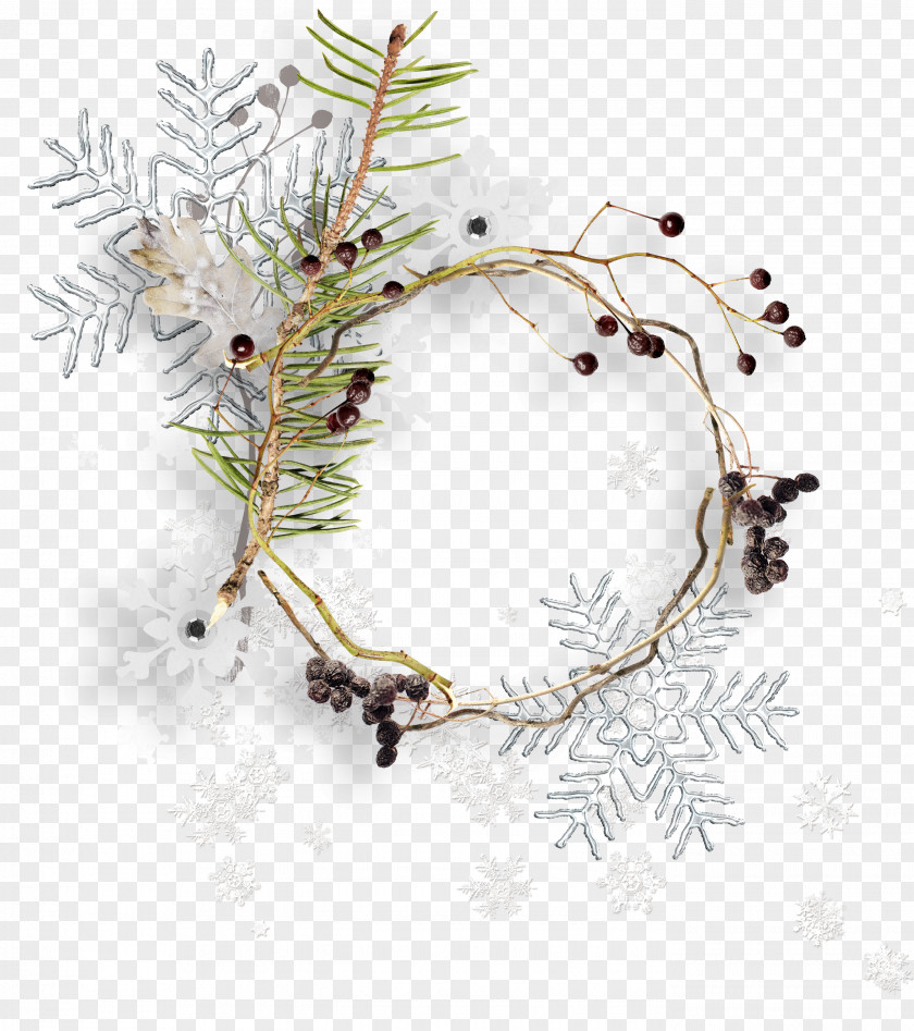 Snow Litter Ring Branch PNG